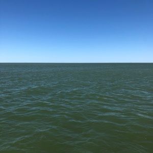 Meet your Posher, Joshua